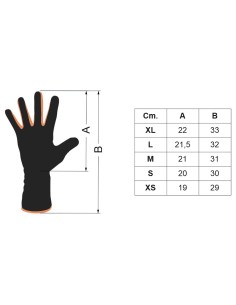 GUANTILLES PORTER AZEMAD L4205 2